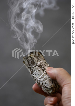 白鼠尾草塗抹 104606723