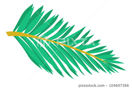 Fir spruce icon. Green conifer tree branch. Evergreen pine symbol 104607366