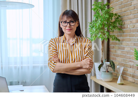 Portrait of business elegant middle-aged woman in office 104608449