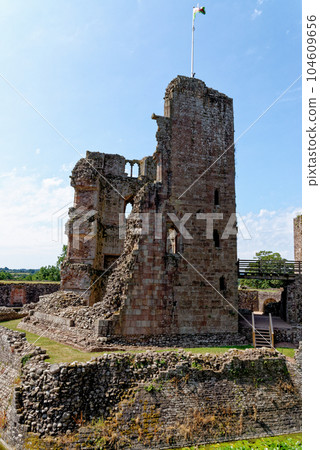 Raglan Castle in Summer, Raglan, Monmouthshire, South Wales, UK 104609656