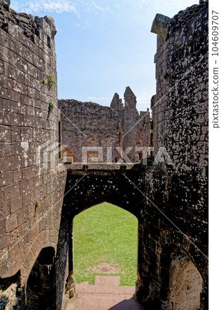 Raglan Castle in Summer, Raglan, Monmouthshire, South Wales, UK 104609707