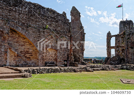 Raglan Castle in Summer, Raglan, Monmouthshire, South Wales, UK 104609730