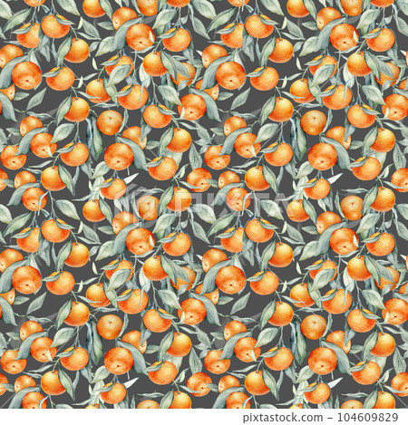 Seamless watercolour citrus fruits and leaves pattern. Green leaves and orange fruits on white background. Seamless mandarin and oranges watercolour illustration 104609829