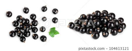 black currant with leaf isolated on white background. Top view. Flat lay pattern 104613121