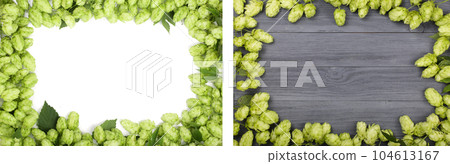 frame of fresh green hop cones isolated on white background and wooden background. Top view with copy space for your text 104613167