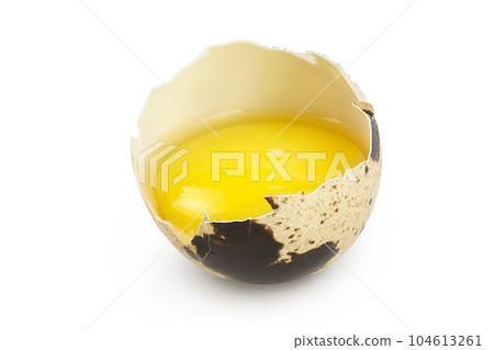 Raw quail egg isolated on white background with full depth of field Raw quail egg isolated on white background with full depth of field 104613261