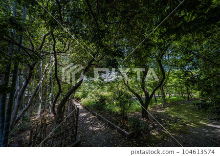 中山道赤坂宿 茶館遺址景觀 中山道赤坂宿 茶館遺址景觀 104613574