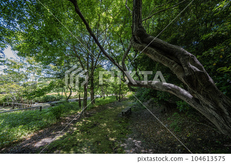 中山道赤坂宿 茶館遺址景觀 104613575