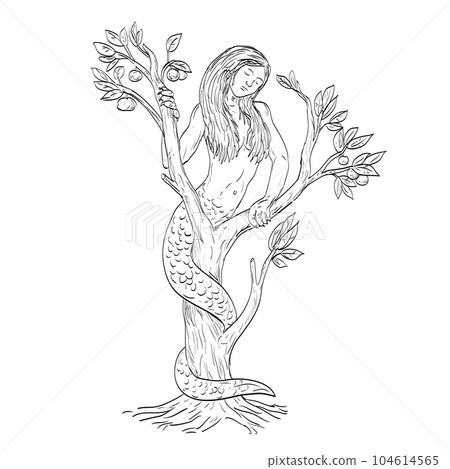 Draconcopedes Curled in Tree Medieval Style Line Art Drawing Draconcopedes Curled in Tree Medieval Style Line Art Drawing 104614565