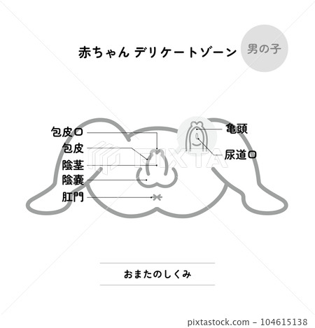 Baby's delicate zone: Omata boy (monochrome/with explanatory image) Baby's delicate zone: Omata boy (monochrome/with explanatory image) 104615138