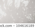 shadow of the leaves on a white wall background. White and gray concrete wall for background design and wallpaper 104616189