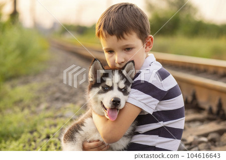 A little boy in a striped t-shirt lovingly hugs his pet husky dog outdoors A little boy in a striped t-shirt lovingly hugs his pet husky dog outdoors 104616643