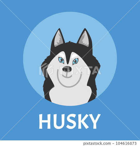 Squared banner with smiling husky dog flat style, vector illustration 104616873