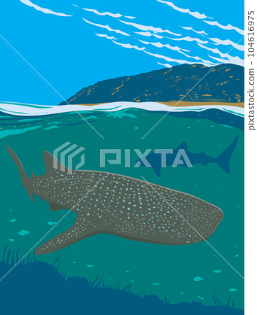 Whale Shark Watching in Oslob Cebu Philippines WPA Art Deco Poster 104616975