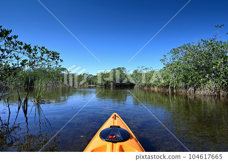Orange kayak on Nine Mile Pond in Everglades National Park, Florida. Orange kayak on Nine Mile Pond in Everglades National Park, Florida. 104617665