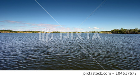 View of distant shore of reeds and mangroves in Everglades National Park. View of distant shore of reeds and mangroves in Everglades National Park. 104617672