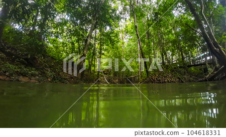 water surface stream and forest 104618331
