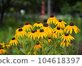 Cheoninguk 104618397