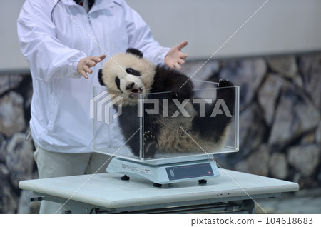 湯濱在稱重時並沒有保持靜止 104618683