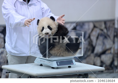 湯濱在稱重時並沒有保持靜止 104618684