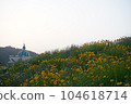 Jindo scenery 104618714
