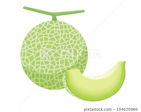 Vector illustration of melon 104620966