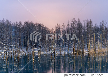 [Winter in Hokkaido] Blue Pond at Dawn 104622249