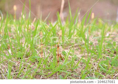 道必津築心坊 104627081