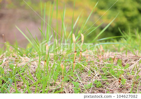 道必津築心坊 104627082