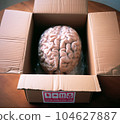 New Brain In The Box 104627887