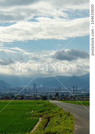 Rice field and Yamagata city 104630600