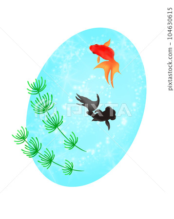 Goldfish swimming elegantly Summer greeting card 104630615