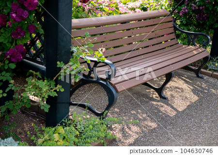 有玫瑰和長凳的風景[春天][初夏][雨季] 104630746