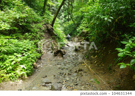 Mt. Takao Route 6 Biwataki Course 104631344