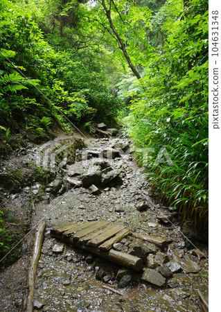 Mt. Takao Route 6 Biwataki Course Mt. Takao Route 6 Biwataki Course 104631348