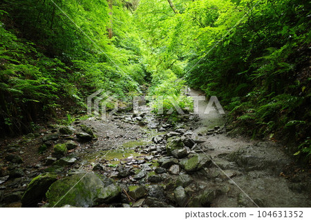 高尾山國道6號線琵琶瀧路線 104631352