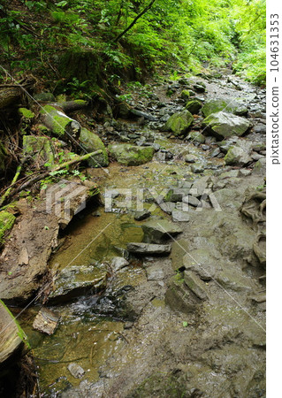 高尾山6號線琵琶瀧路線岩石區的一部分 高尾山6號線琵琶瀧路線岩石區的一部分 104631353