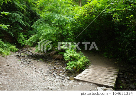 Mt. Takao Route 6 Biwataki Course Mt. Takao Route 6 Biwataki Course 104631354