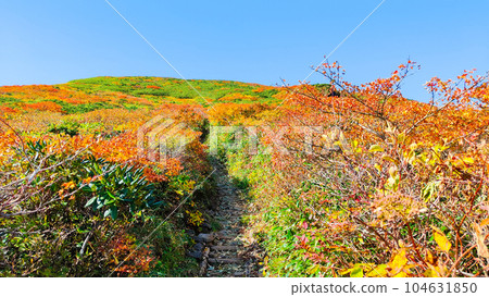 栗駒山秋季登山（Ubanuma路線） 104631850