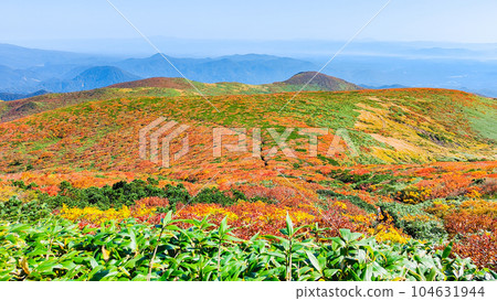 Kurikoma Mountain Climbing in Autumn (Ubanuma Course) 104631944