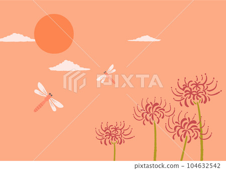 秋季紅蜻蜓和簇孤挺花圖 秋季紅蜻蜓和簇孤挺花圖 104632542