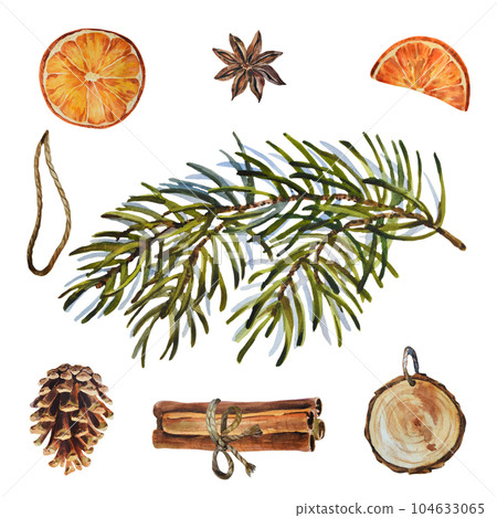 Watercolor Christmas set of fir branch with cones, dry oranges, sticks almond anise star. Hand painted holiday elements with winter plants isolated on white background. 104633065