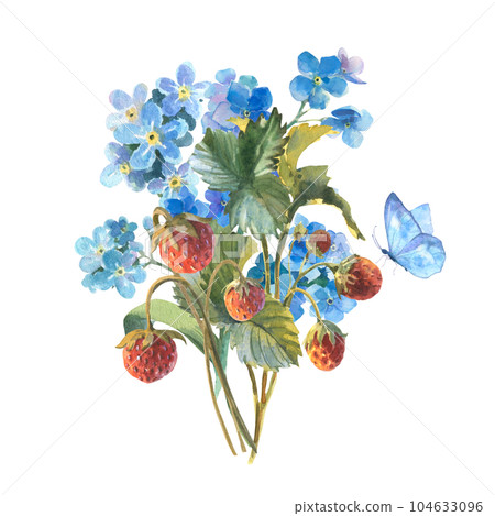Watercolor illustration, bouquet of wildflowers and strawberries with a butterfly, forget-me-nots and strawberries isolated on a white background 104633096