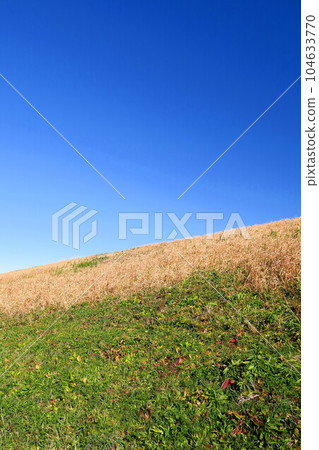 Edogawa bank and blue sky landscape in winter 104633770