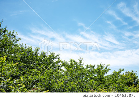 夏日清爽的天空圖片 104633873