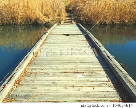 冬天的松戶接觸川浮橋 104634614