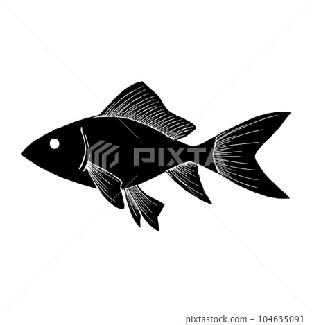 Goldfish (single item) / silhouette 104635091