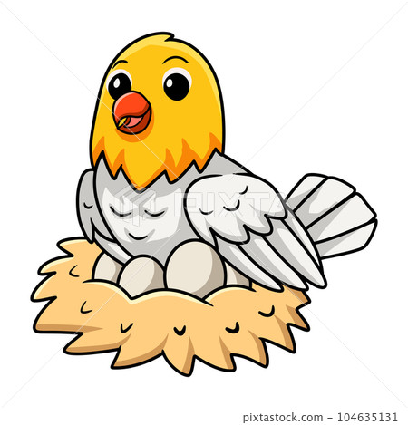 Cute opaline pale fallow lovebird cartoon with eggs in the nest 104635131