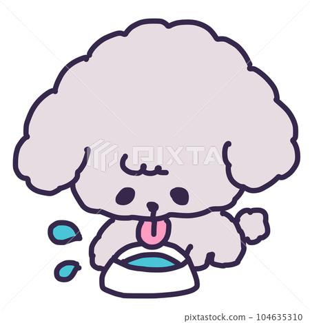 Illustration of a cute toy poodle puppy drinking water Illustration of a cute toy poodle puppy drinking water 104635310