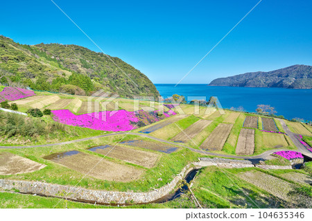 [Tagarasu Rice Terraces] Tagarasu, Obama City, Fukui Prefecture 104635346